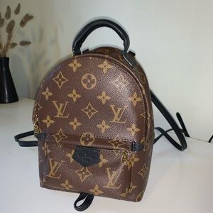 Louis Vuitton Palm Springs mini backpack